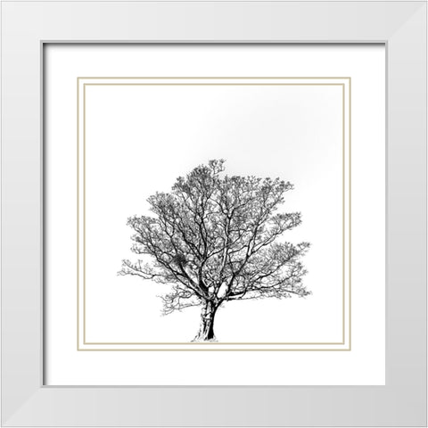 Overflowing vitality. White Modern Wood Framed Art Print with Double Matting by Hisamitsu, Yuusuke
