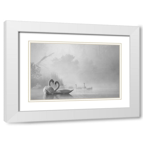 morning fog on swan lake White Modern Wood Framed Art Print with Double Matting by Liu, Dawei