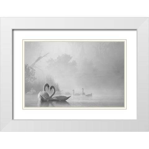 morning fog on swan lake White Modern Wood Framed Art Print with Double Matting by Liu, Dawei