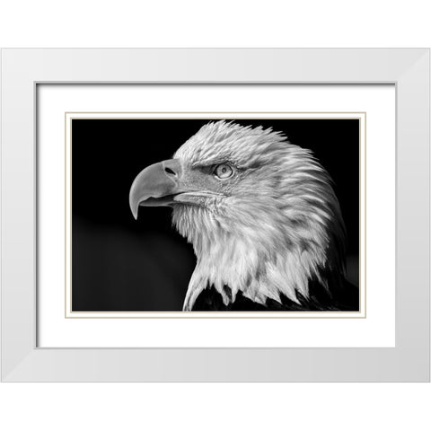 The eye White Modern Wood Framed Art Print with Double Matting by Bisaillon, Martin