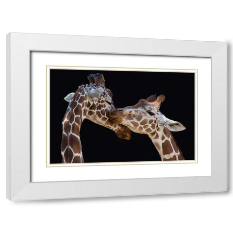 The Kiss White Modern Wood Framed Art Print with Double Matting by Foeger, Manfred