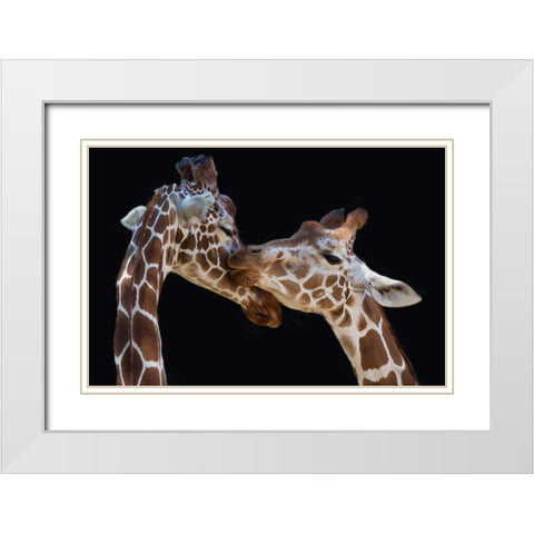 The Kiss White Modern Wood Framed Art Print with Double Matting by Foeger, Manfred