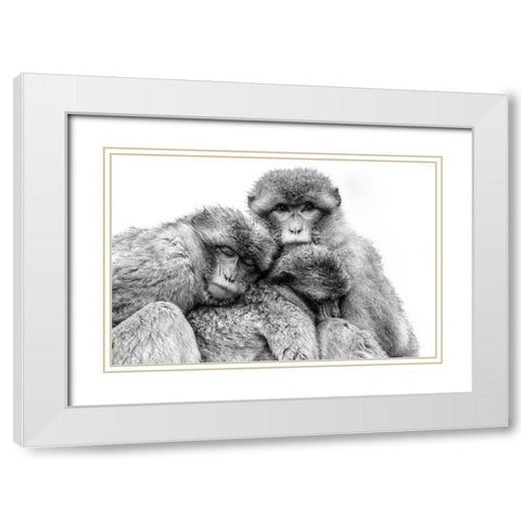Keep together White Modern Wood Framed Art Print with Double Matting by de Jong, Arendina
