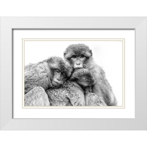 Keep together White Modern Wood Framed Art Print with Double Matting by de Jong, Arendina