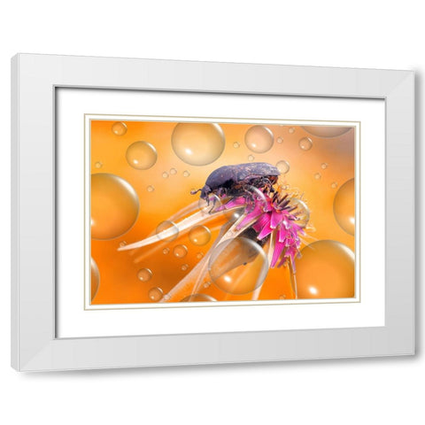 Heat Wave... White Modern Wood Framed Art Print with Double Matting by Dufour, Thierry