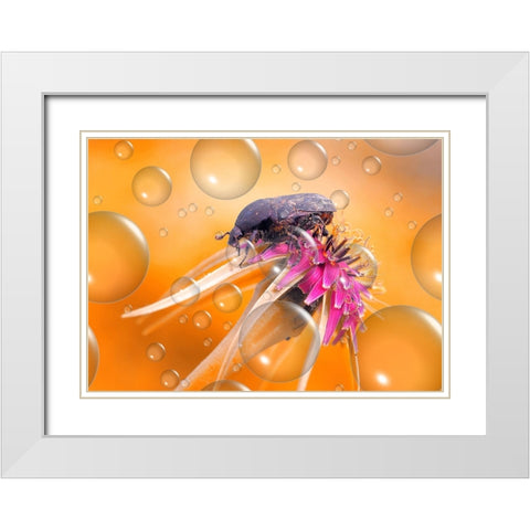 Heat Wave... White Modern Wood Framed Art Print with Double Matting by Dufour, Thierry