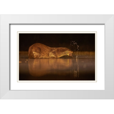 Otter White Modern Wood Framed Art Print with Double Matting by Li, Min