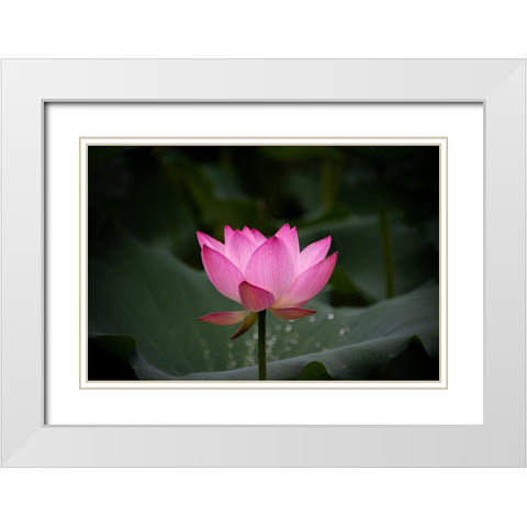 Untitled White Modern Wood Framed Art Print with Double Matting by Song, Yunarto