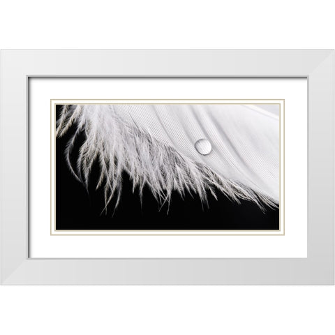 Slide White Modern Wood Framed Art Print with Double Matting by Sokac, Drazen
