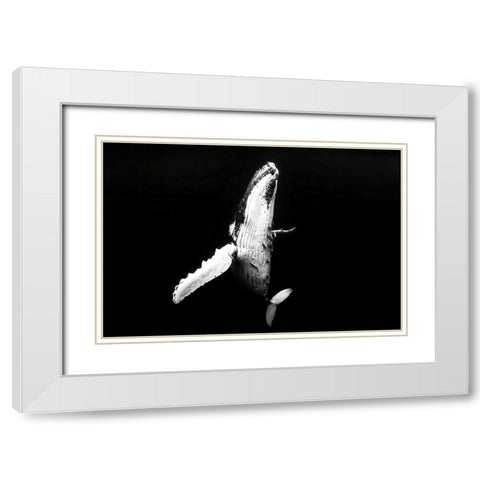 Whale season White Modern Wood Framed Art Print with Double Matting by Melesan, Serge