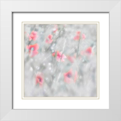 Poppies White Modern Wood Framed Art Print with Double Matting by Stas, Marie-Anne
