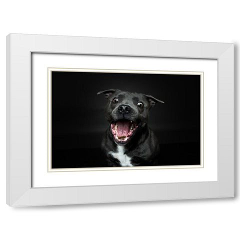 Incoming White Modern Wood Framed Art Print with Double Matting by Irene Sattrup, Dorte