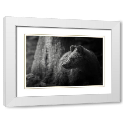 Last light White Modern Wood Framed Art Print with Double Matting by Venier, Giovanni