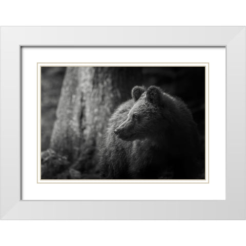 Last light White Modern Wood Framed Art Print with Double Matting by Venier, Giovanni