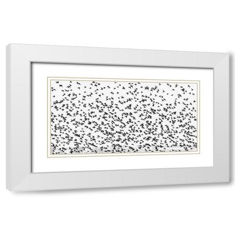 stars White Modern Wood Framed Art Print with Double Matting by Hermann, Uschi