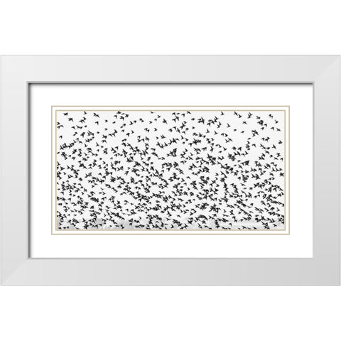 stars White Modern Wood Framed Art Print with Double Matting by Hermann, Uschi