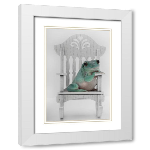 Rocking Whites Tree Frog White Modern Wood Framed Art Print with Double Matting by D Lester, Linda