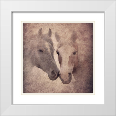 Photo for memory White Modern Wood Framed Art Print with Double Matting by Novichikhin, Evgenii