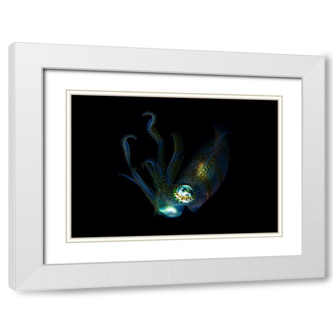 Night Elf (Squid) White Modern Wood Framed Art Print with Double Matting by Y Lin, Ryan