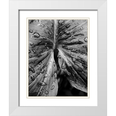 Leafy Looks White Modern Wood Framed Art Print with Double Matting by Allen, Elizabeth