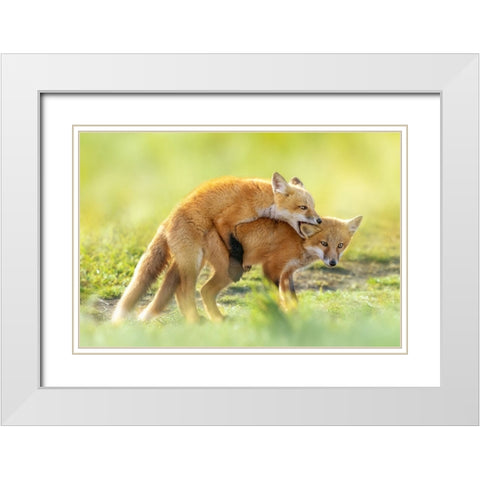 AnÂ‰AeÂˆÂ White Modern Wood Framed Art Print with Double Matting by Fengying Long