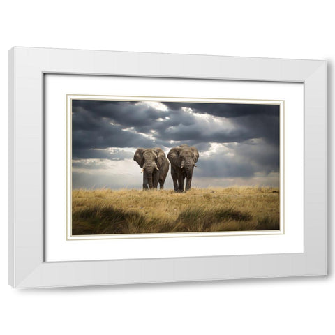 Brothers White Modern Wood Framed Art Print with Double Matting by Kurz, Christian