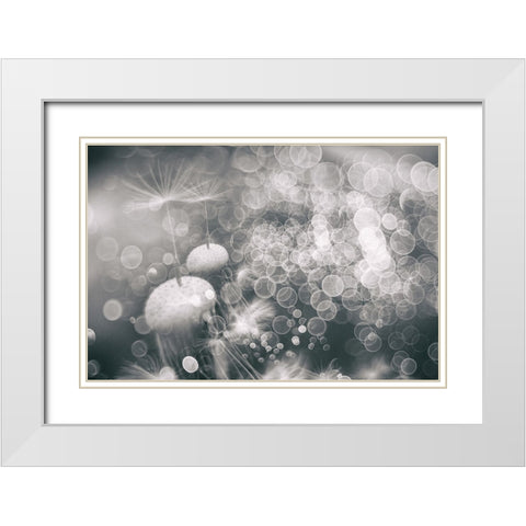 Extravaganza White Modern Wood Framed Art Print with Double Matting by Kopcev, Igor