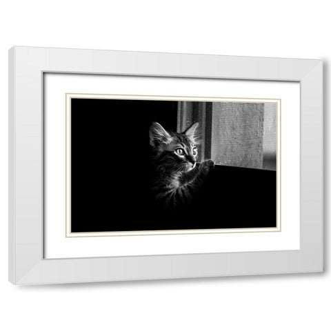 Leo White Modern Wood Framed Art Print with Double Matting by Alsharif, Yahia