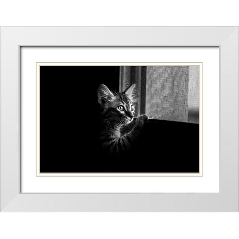 Leo White Modern Wood Framed Art Print with Double Matting by Alsharif, Yahia
