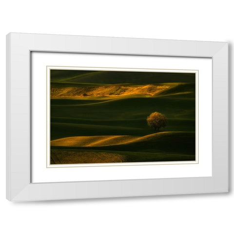 Bright Lonely Tree White Modern Wood Framed Art Print with Double Matting by Jacobs, Lydia