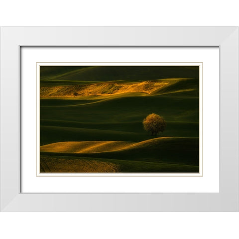 Bright Lonely Tree White Modern Wood Framed Art Print with Double Matting by Jacobs, Lydia