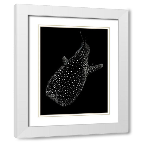 Spotted sea White Modern Wood Framed Art Print with Double Matting by Melesan, Serge