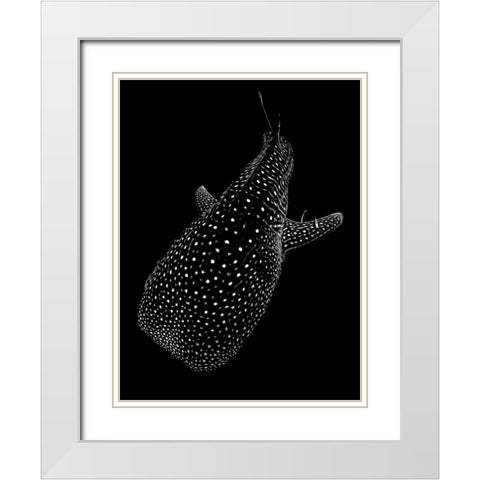 Spotted sea White Modern Wood Framed Art Print with Double Matting by Melesan, Serge