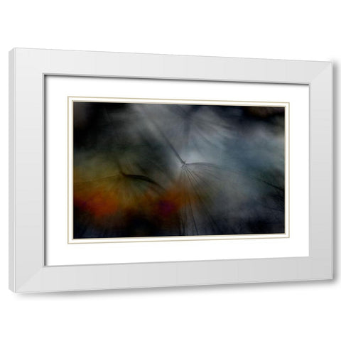 Tragopogon abstract White Modern Wood Framed Art Print with Double Matting by Gronkjar, Lotte