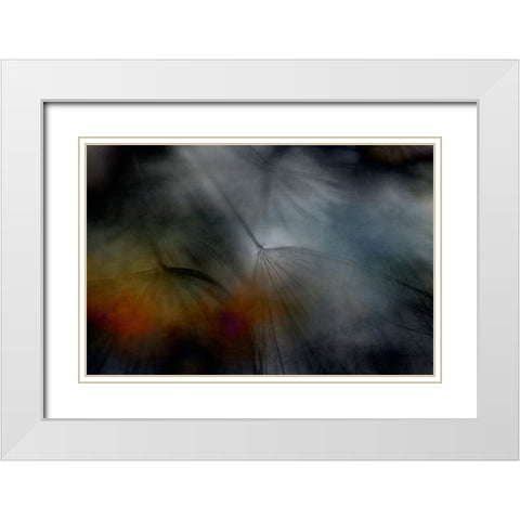 Tragopogon abstract White Modern Wood Framed Art Print with Double Matting by Gronkjar, Lotte