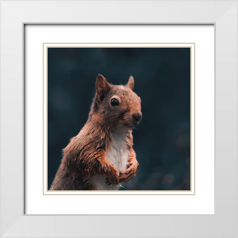 Think White Modern Wood Framed Art Print with Double Matting by J Ter, Gert