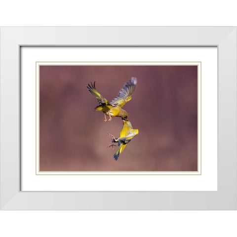 Seed In The Eye White Modern Wood Framed Art Print with Double Matting by Redaelli, Marco