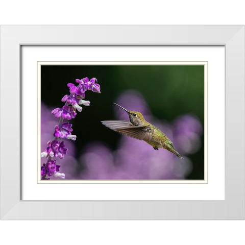 Welcome To The Purple World White Modern Wood Framed Art Print with Double Matting by Huang, Xiaojian