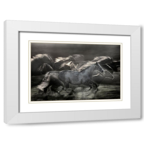 In Gallop White Modern Wood Framed Art Print with Double Matting by Malovrh, Milan