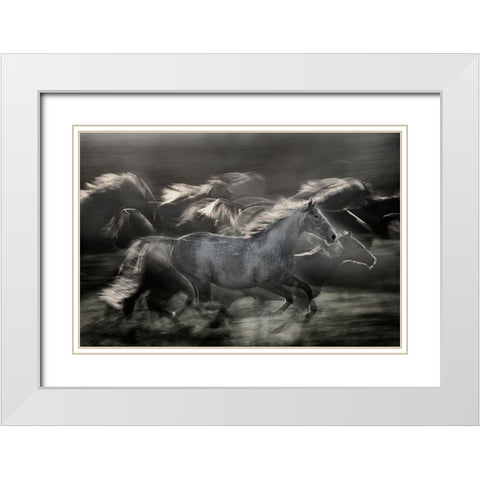 In Gallop White Modern Wood Framed Art Print with Double Matting by Malovrh, Milan