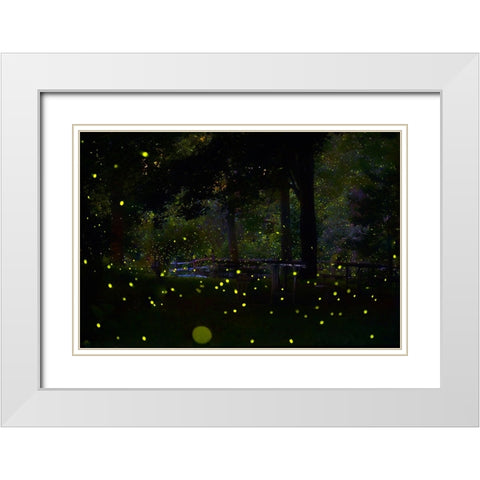 Amazing Fireflies Light White Modern Wood Framed Art Print with Double Matting by Liang, Ken