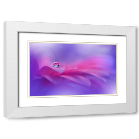 Celebration Of Life..II White Modern Wood Framed Art Print with Double Matting by Nan, Juliana