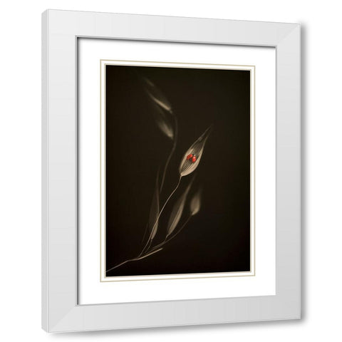 A Resting Place White Modern Wood Framed Art Print with Double Matting by Kiral, Cicek