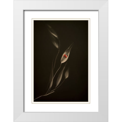 A Resting Place White Modern Wood Framed Art Print with Double Matting by Kiral, Cicek