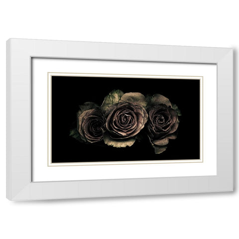 Roses White Modern Wood Framed Art Print with Double Matting by Julie, Angel