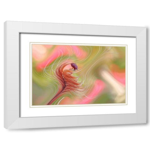 Color Storm... White Modern Wood Framed Art Print with Double Matting by Dufour, Thierry
