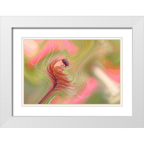 Color Storm... White Modern Wood Framed Art Print with Double Matting by Dufour, Thierry