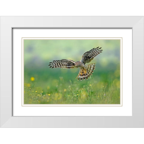 We Will Meet White Modern Wood Framed Art Print with Double Matting by Rudaeff, Pablo