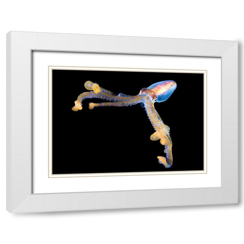 Victory White Modern Wood Framed Art Print with Double Matting by Ichinoseki, Sayaka