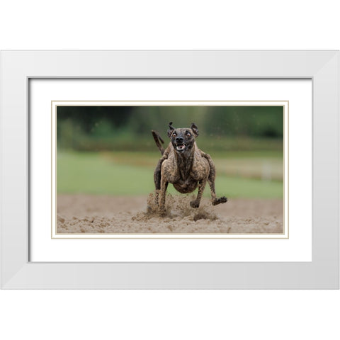 The Look White Modern Wood Framed Art Print with Double Matting by Engelbos, Mieke